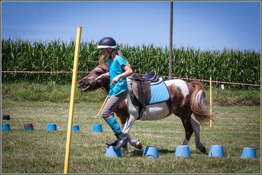 Mounted Games 153